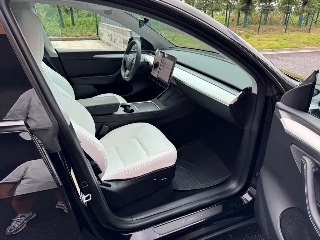Tesla Model Y — миниатюра 9