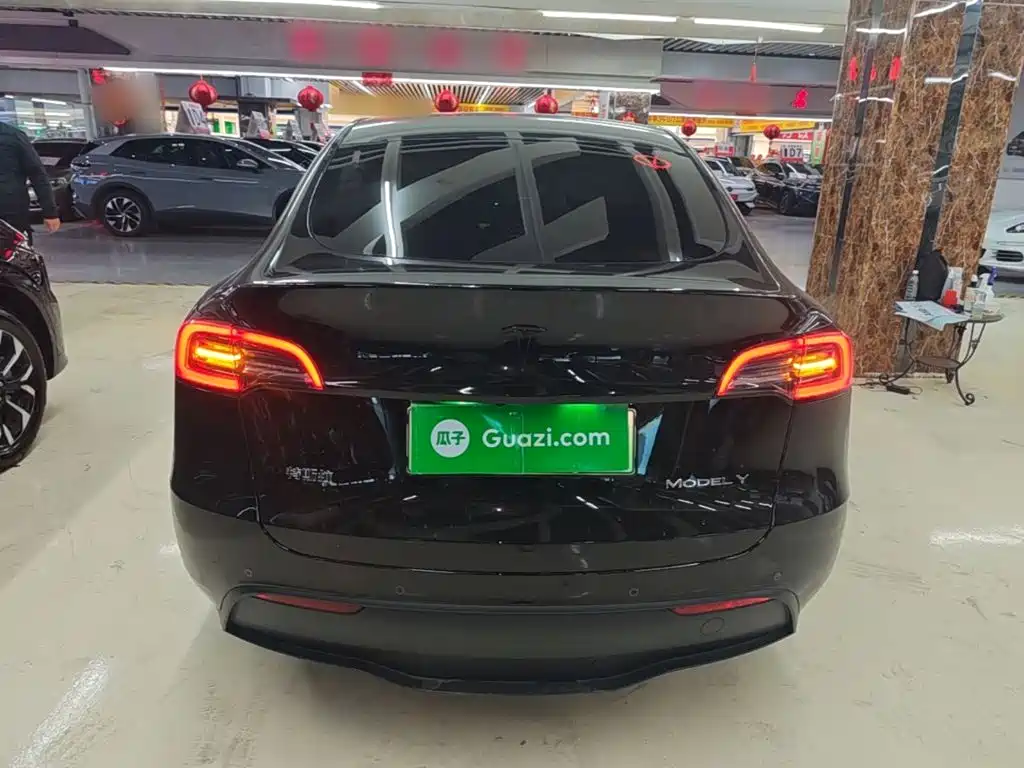 Tesla Model Y — миниатюра 6