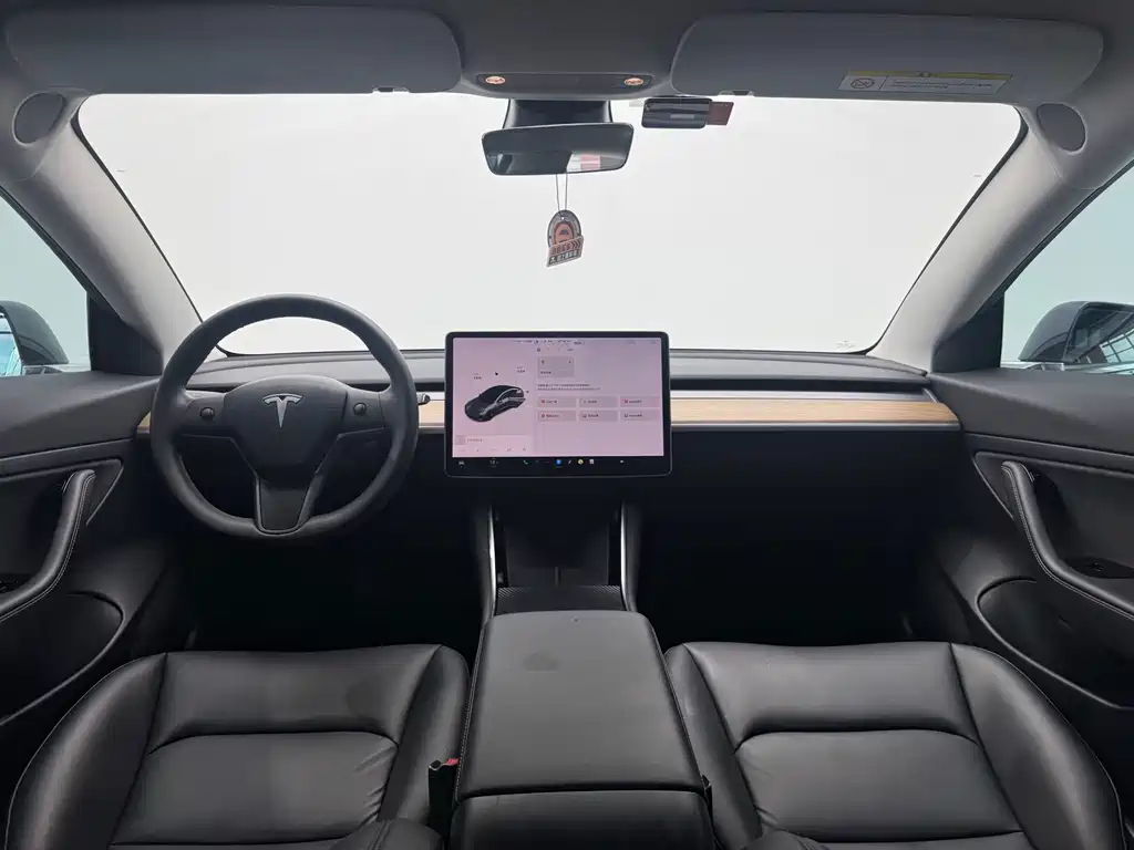 Tesla Model 3 — миниатюра 14