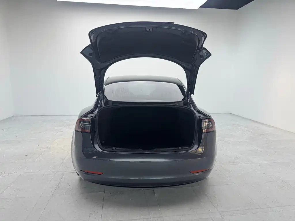 Tesla Model 3 — миниатюра 17