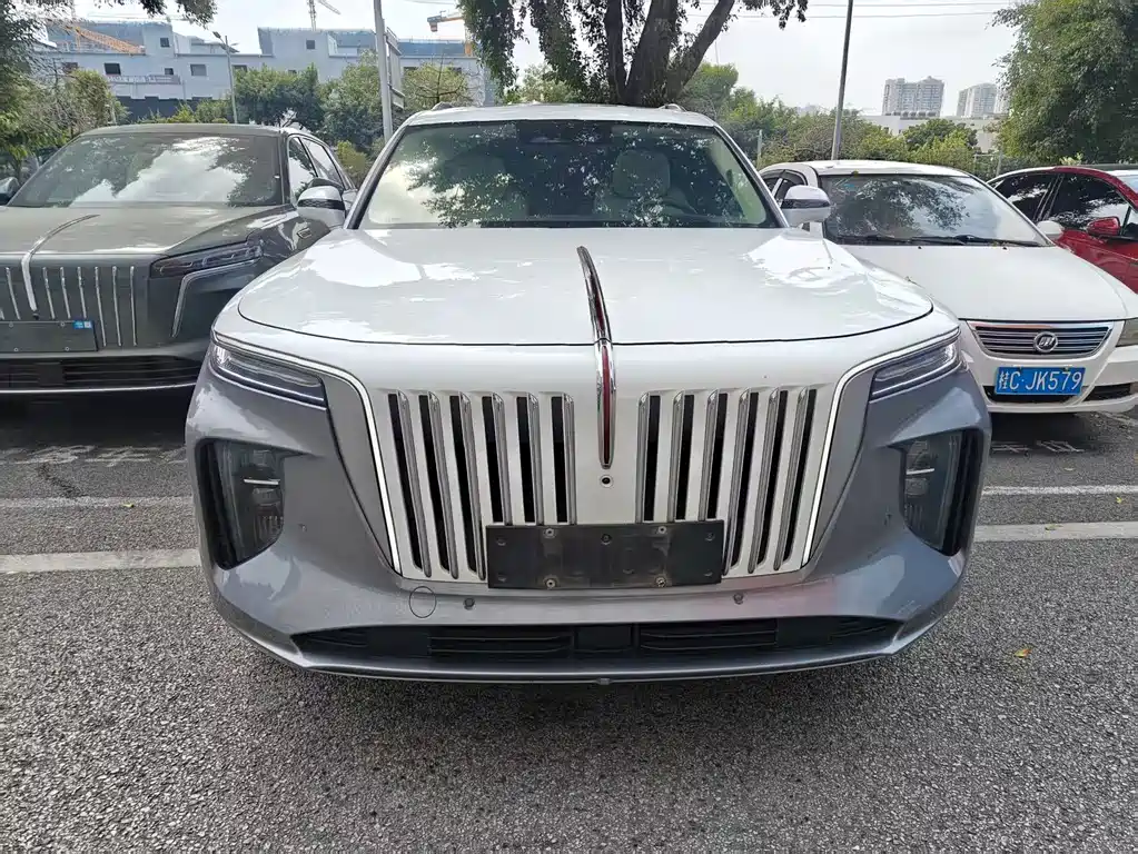 Hongqi Hongqi E-HS9