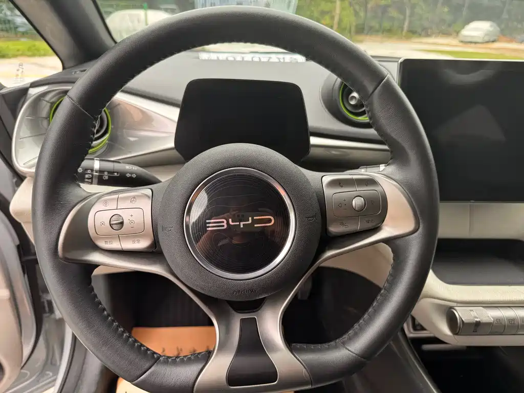 BYD Dolphin 2021 405km Fashion