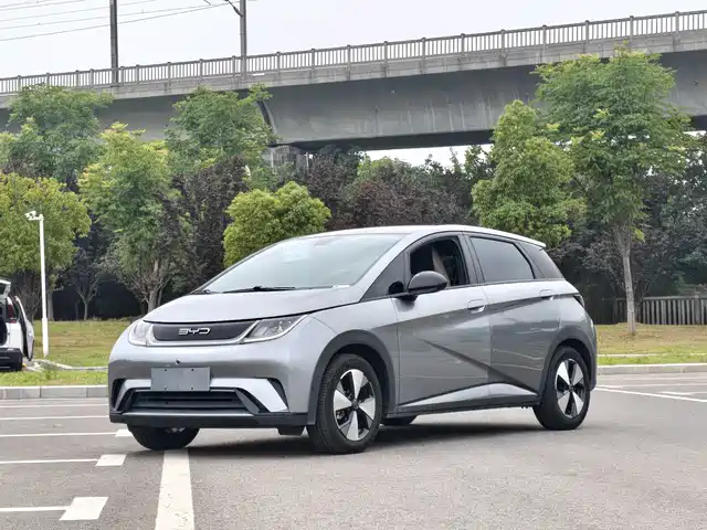 2023 BYD Dolphin