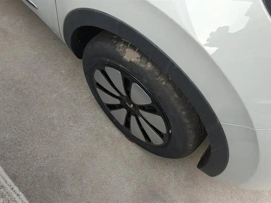 Wuling Binguo 2025 333km Enjoy