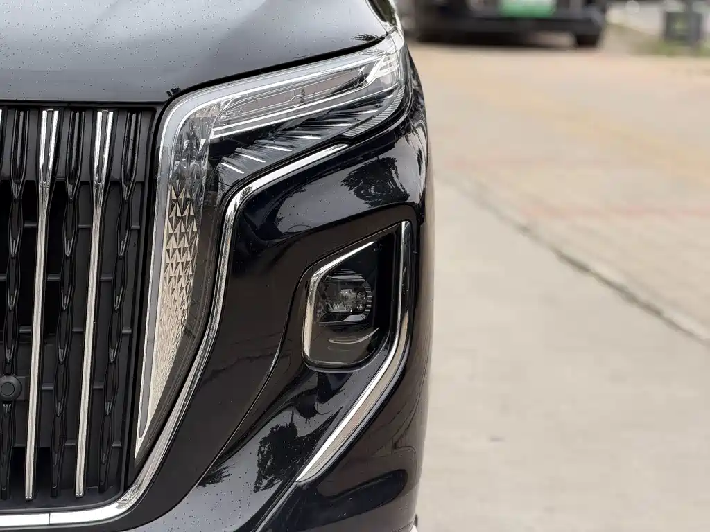 Hongqi Hongqi HQ9 — миниатюра 4