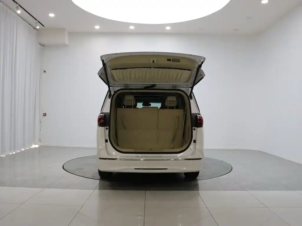 Buick GL8 — миниатюра 8