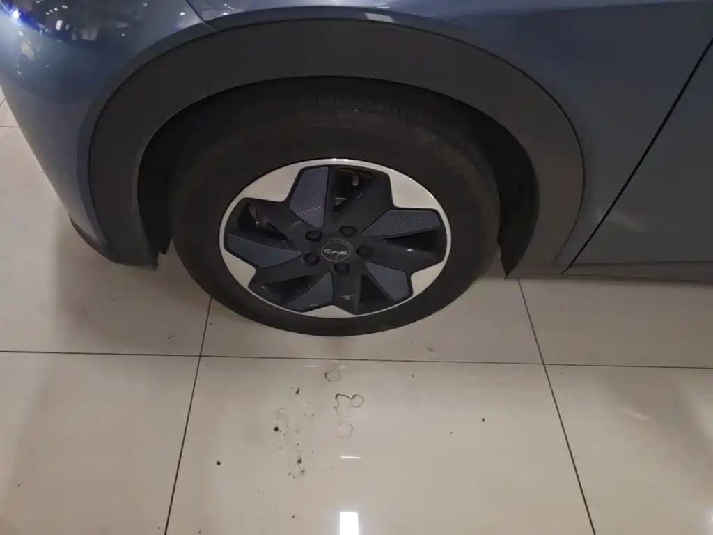 BYD Dolphin — миниатюра 23