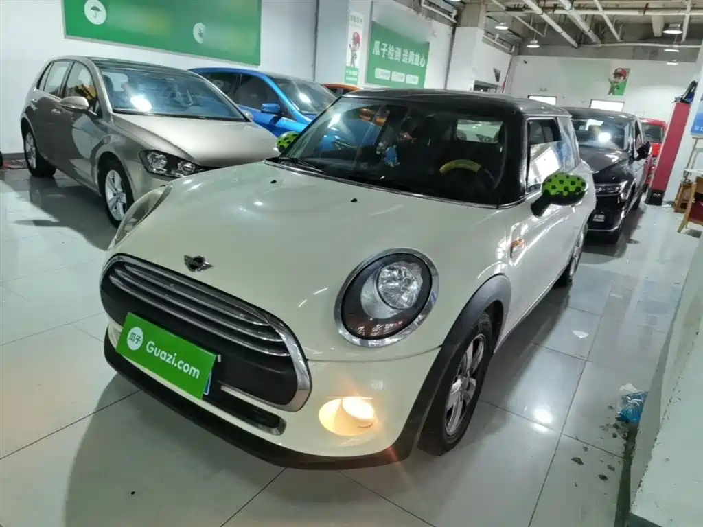 Mini Mini 2015