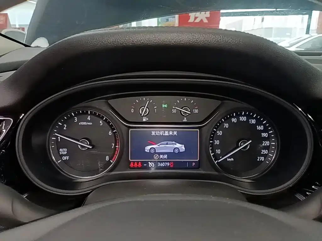 Buick Regal — миниатюра 12