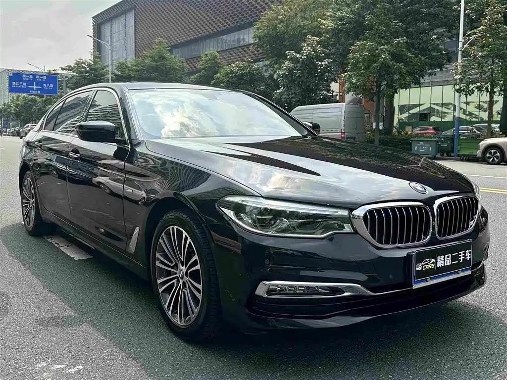 BMW 5 Series 5 2018 530Li Premium Luxury
