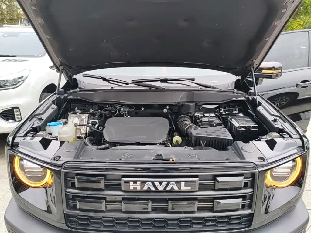 Haval Big Dog — миниатюра 20