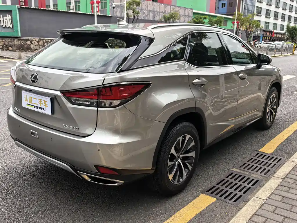 LEXUS RX