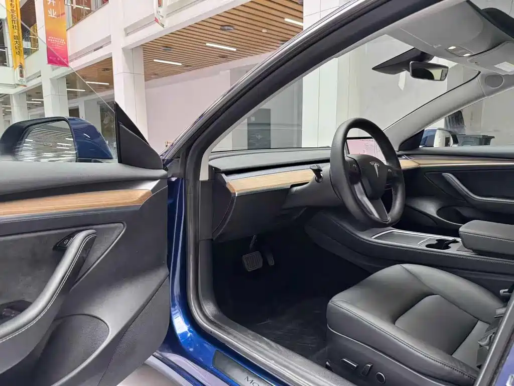 Tesla Model 3 2021 3D6