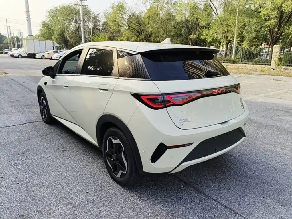 BYD Dolphin — миниатюра 5