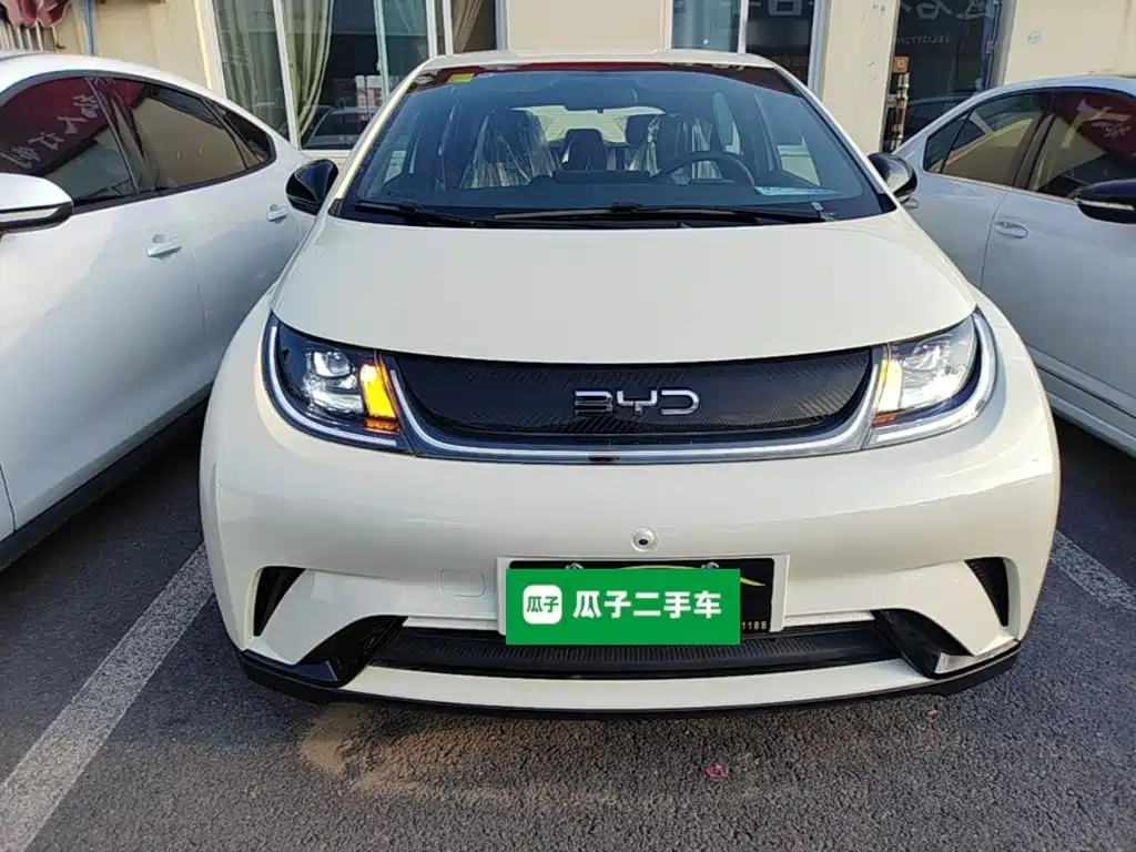 BYD Dolphin 2025 420km Freedom