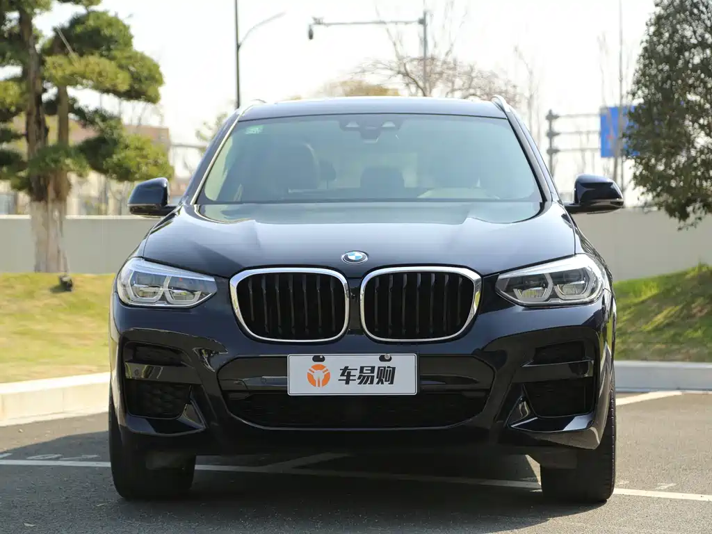BMW X3 — миниатюра 2