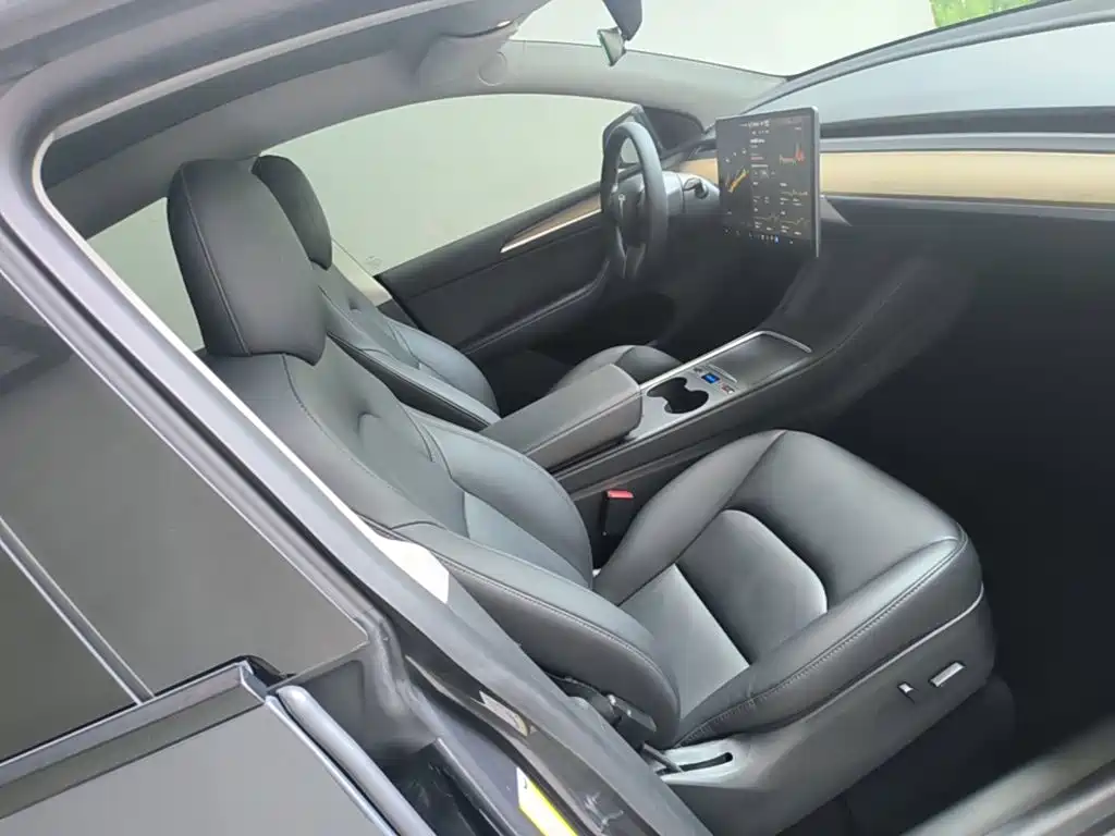 Tesla Model Y — миниатюра 25