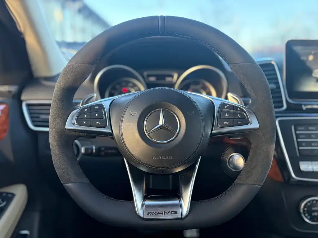 Mercedes-Benz GLS AMG AMG GLS 63 4MATIC, фото 12