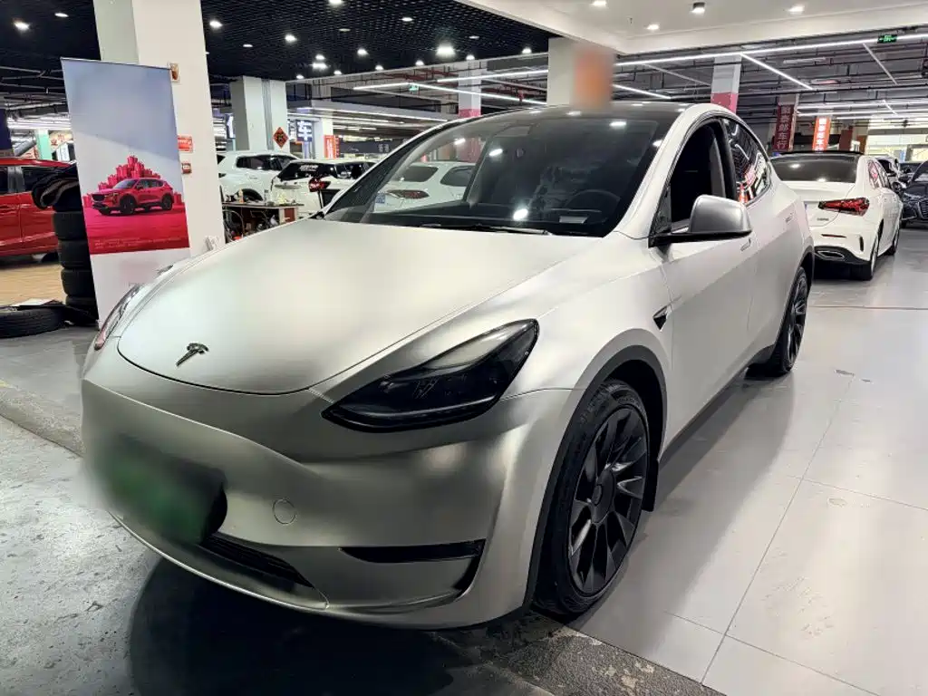Tesla Model Y — миниатюра 2