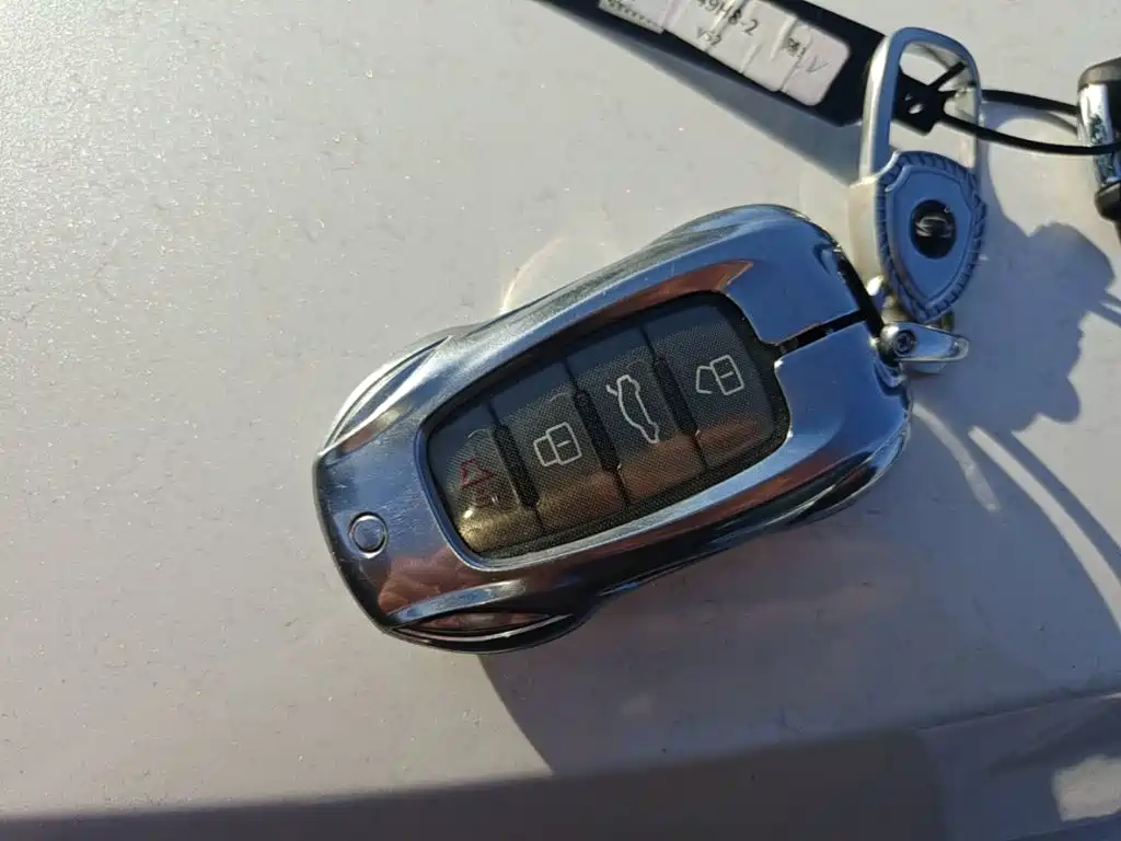 Haval Big Dog — миниатюра 9