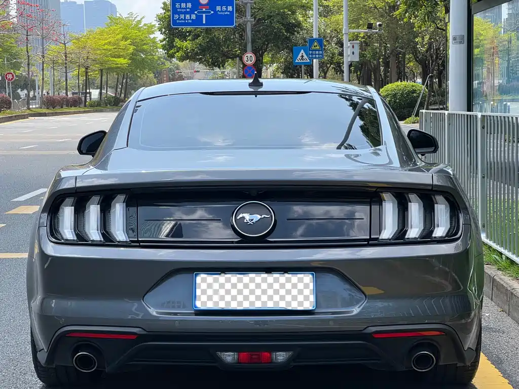 Ford Mustang — миниатюра 16