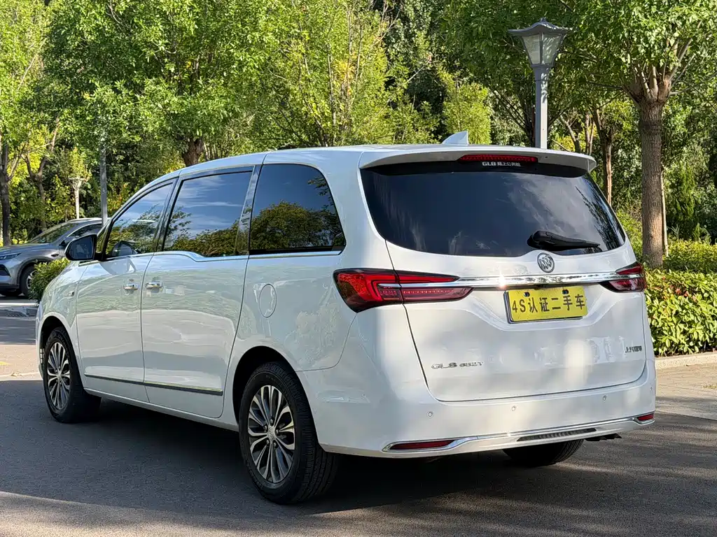 Buick GL8 — миниатюра 19