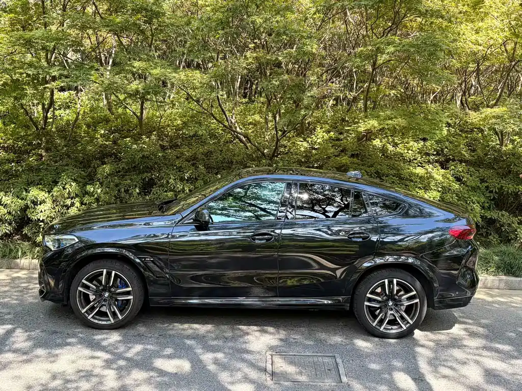 BMW X6 M — миниатюра 7
