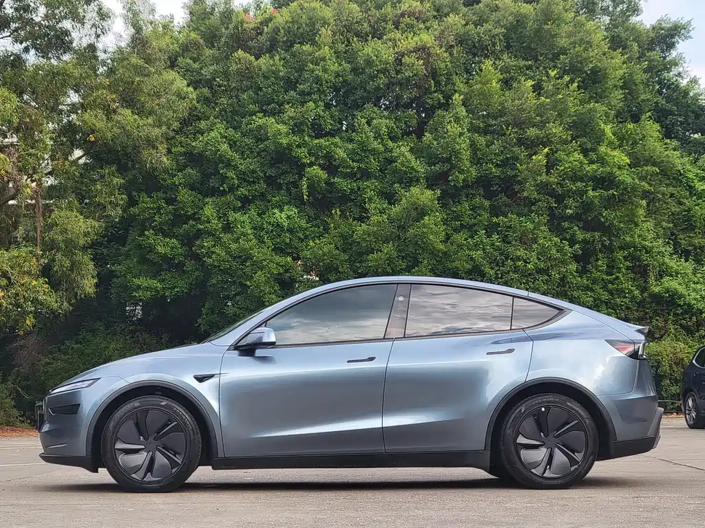 Tesla Model Y — миниатюра 6