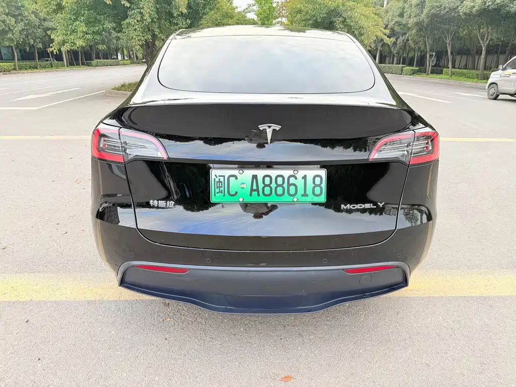 Tesla Model Y — миниатюра 9