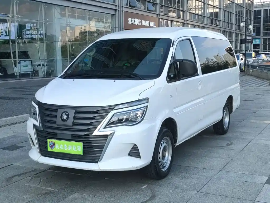 Fengxing Lingzhi New Energy