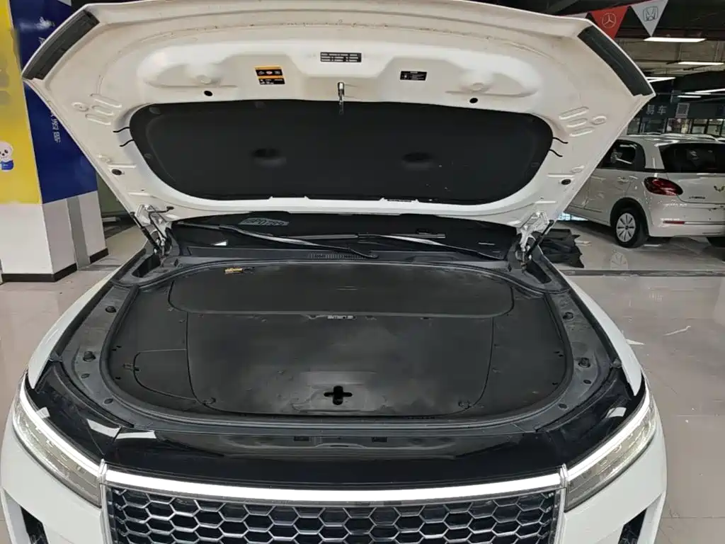 Li Auto Li ONE — миниатюра 20