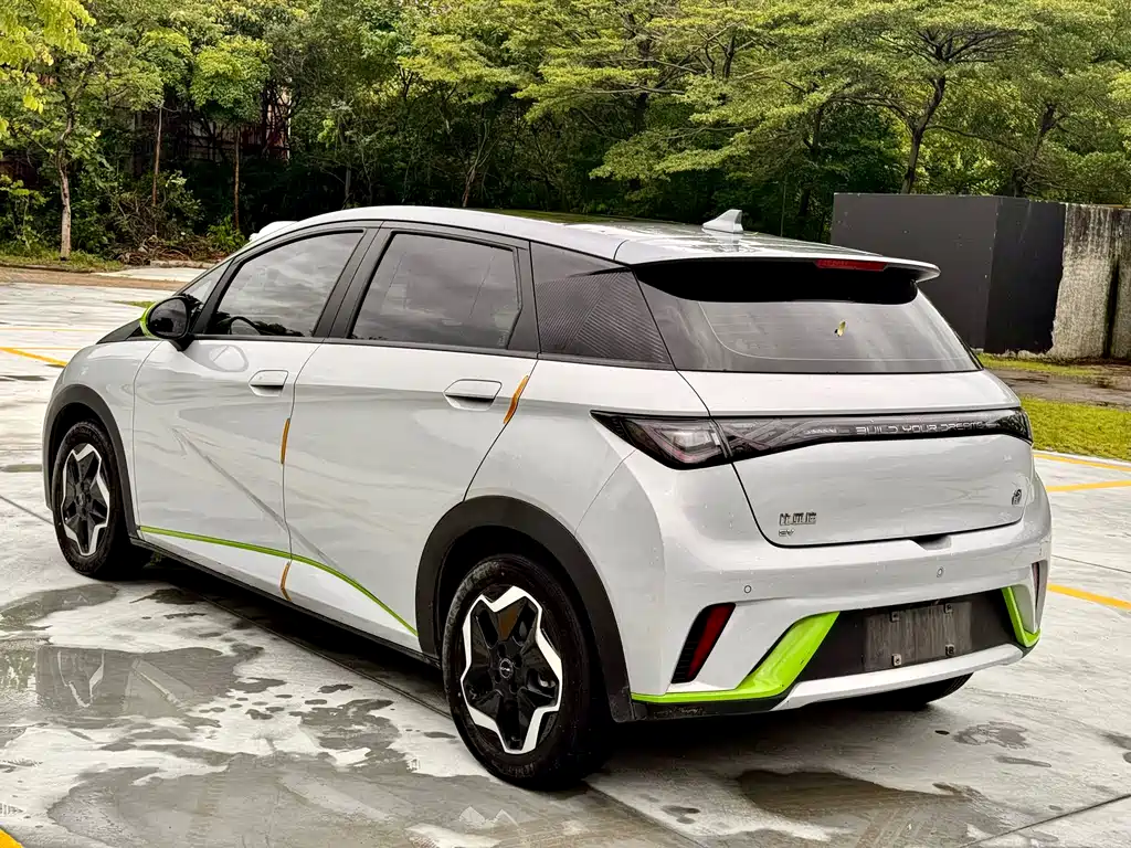 BYD Dolphin 2021 405km Fashion