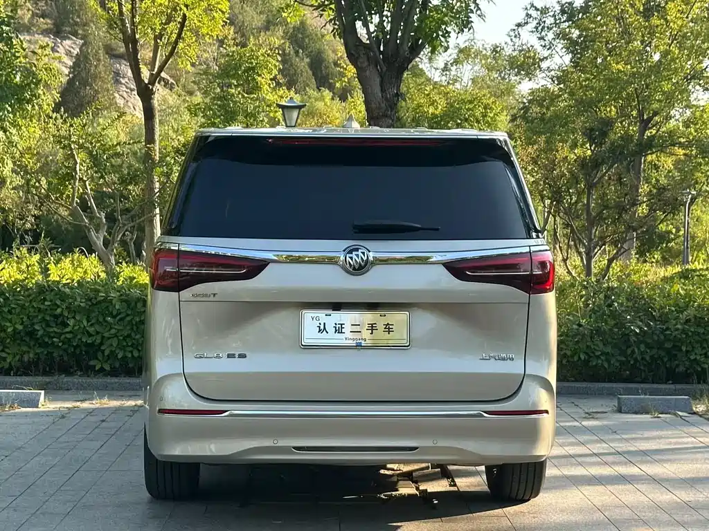 Buick GL8 — миниатюра 8