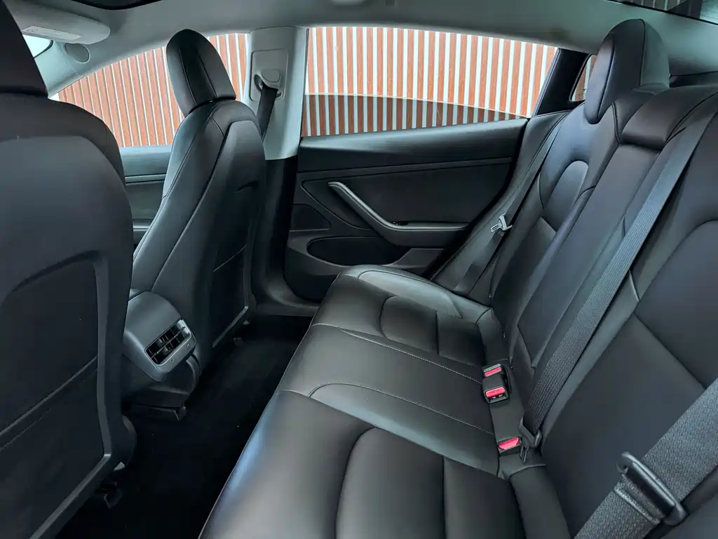 Tesla Model 3 — миниатюра 8