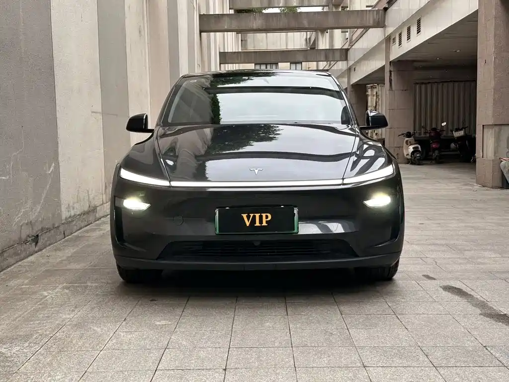 Tesla Model Y — миниатюра 2