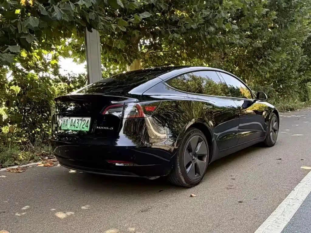 Tesla Model 3 — миниатюра 16