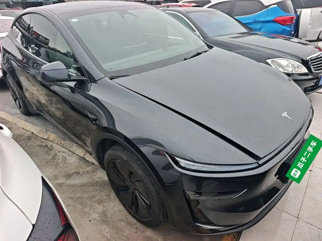 Tesla Model Y — миниатюра 4