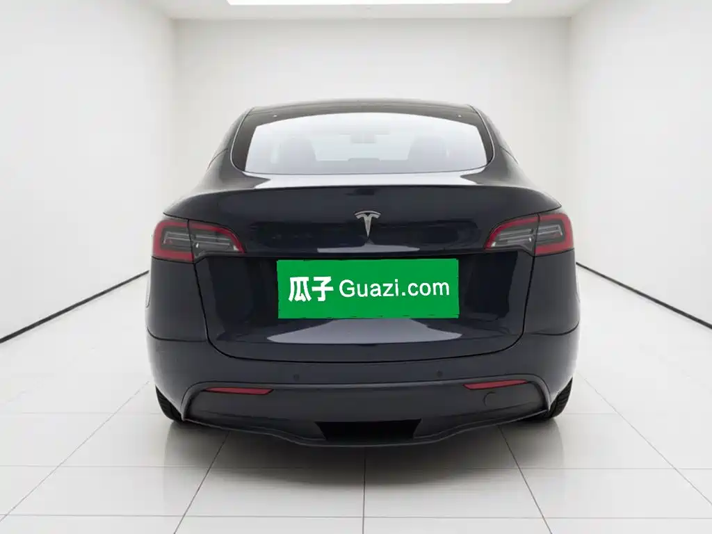 Tesla Model Y — миниатюра 3