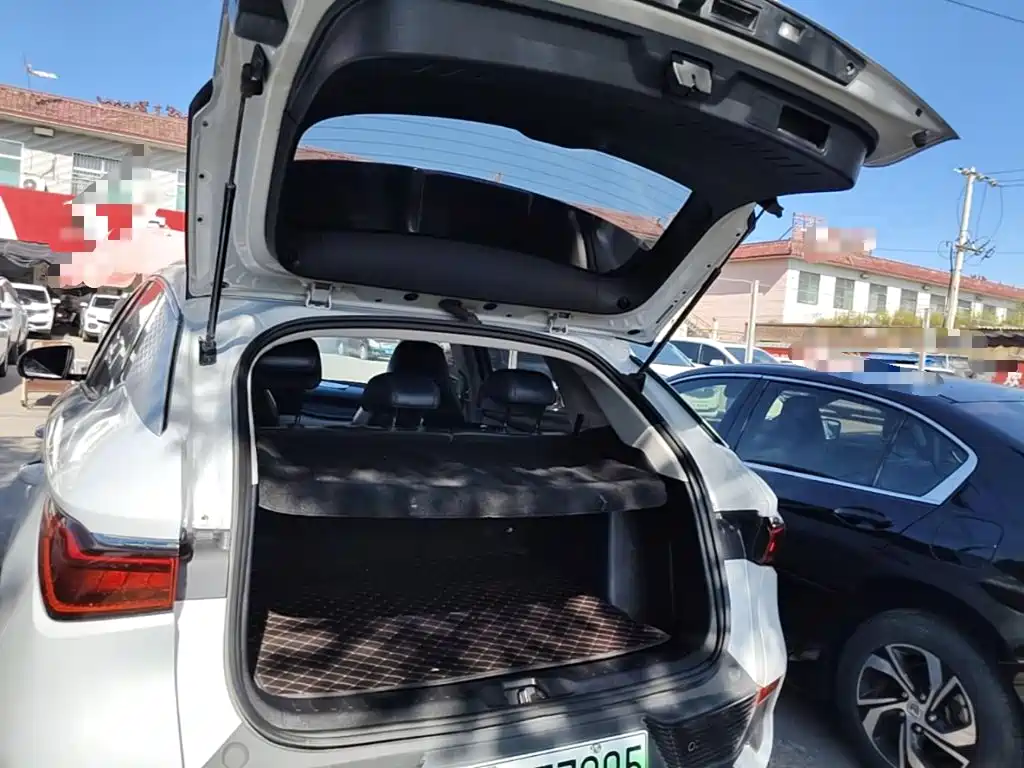 BYD Yuan Plus — миниатюра 19