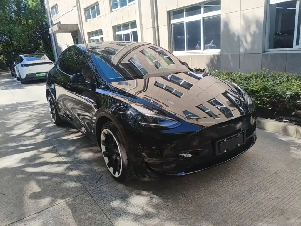 Tesla Model Y — миниатюра 4