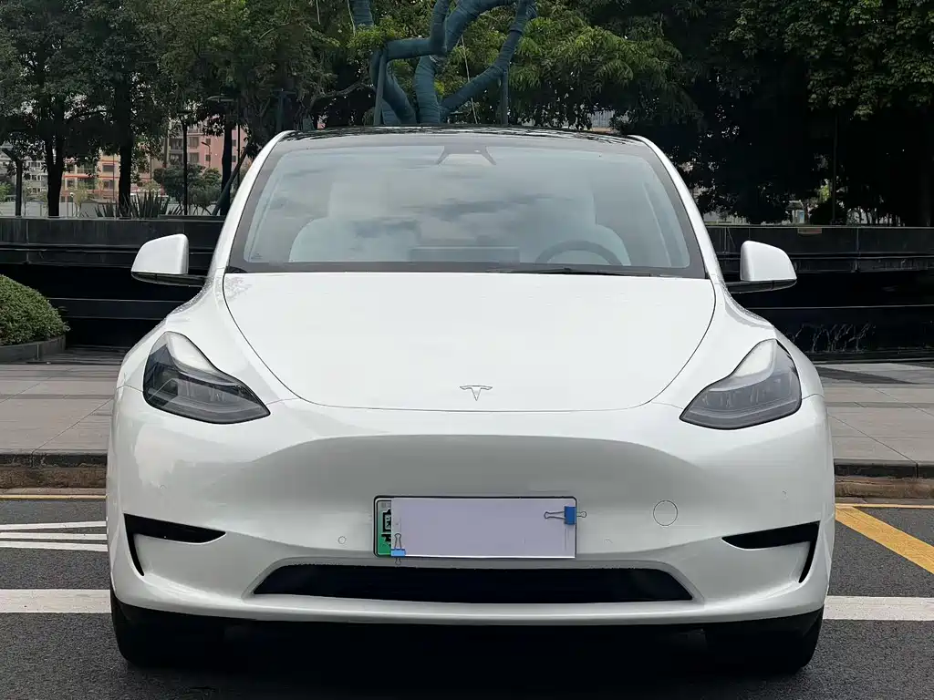 Tesla Model Y — миниатюра 2