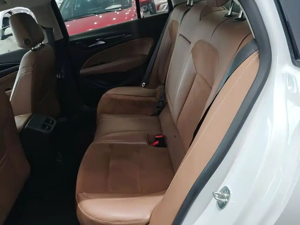 Buick Regal — миниатюра 17