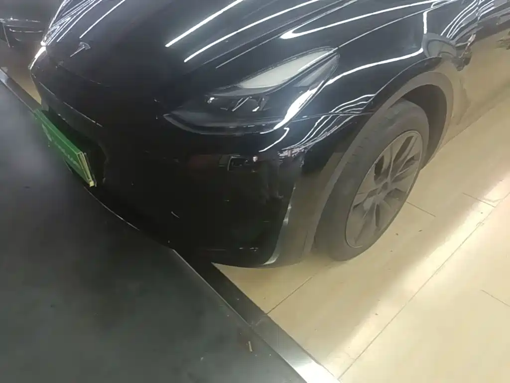 Tesla Model Y — миниатюра 24
