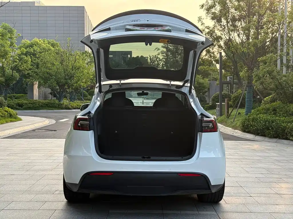 Tesla Model Y — миниатюра 17