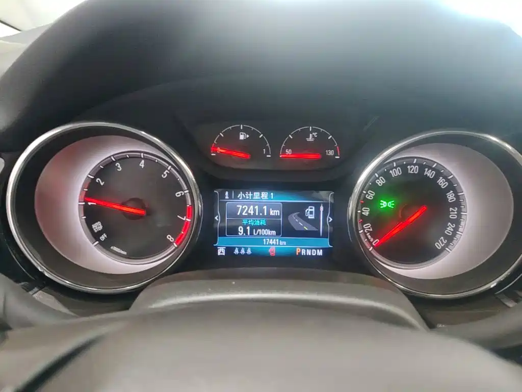 Buick Regal — миниатюра 12
