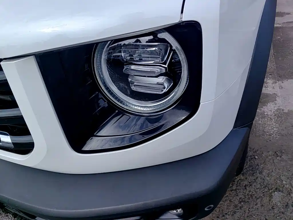 Haval Big Dog — миниатюра 24