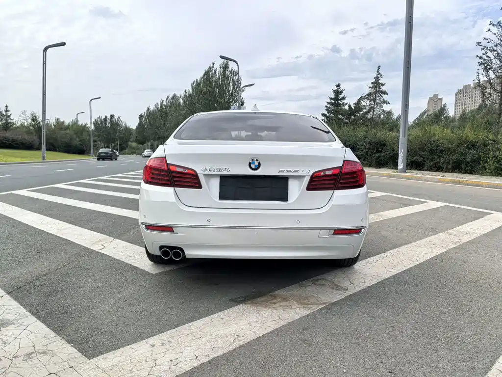 BMW 5 Series — миниатюра 5