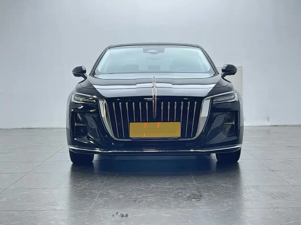 Hongqi Hongqi H5 — миниатюра 2
