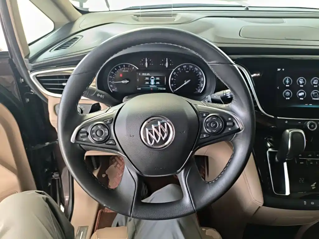 Buick GL8 — миниатюра 11