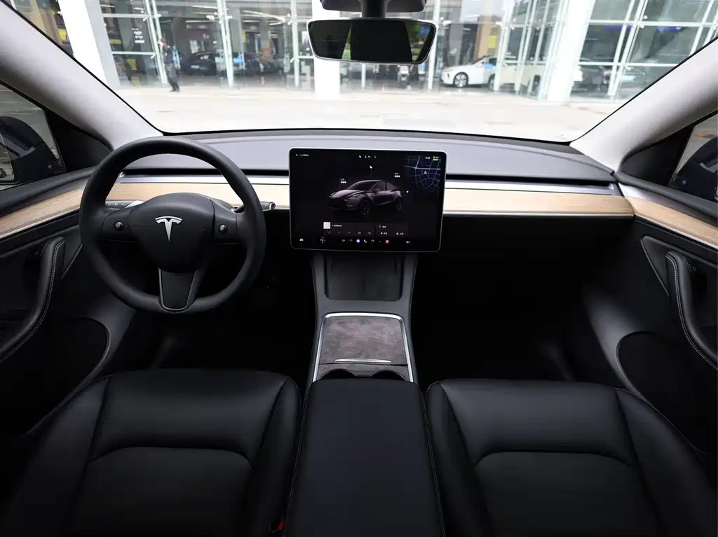 Tesla Model Y — миниатюра 15